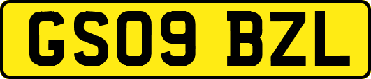 GS09BZL