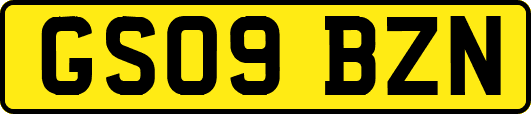 GS09BZN