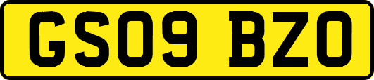 GS09BZO