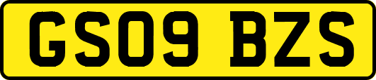 GS09BZS