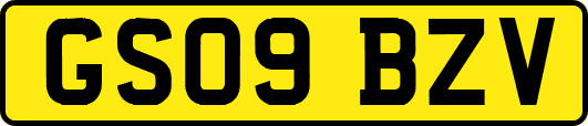 GS09BZV
