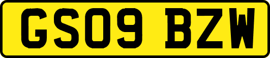 GS09BZW