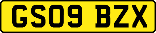 GS09BZX