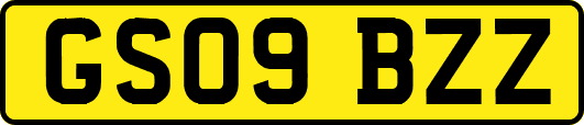 GS09BZZ