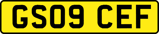 GS09CEF