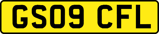 GS09CFL