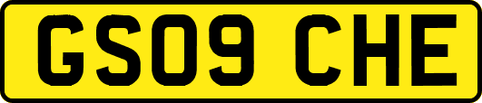 GS09CHE