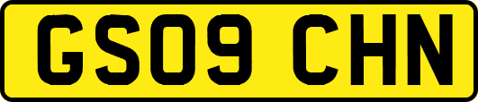 GS09CHN