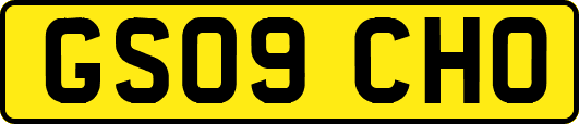 GS09CHO