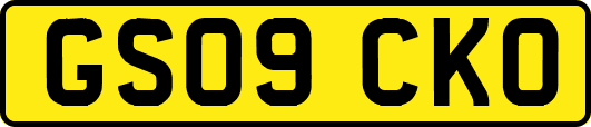 GS09CKO