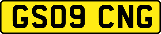 GS09CNG