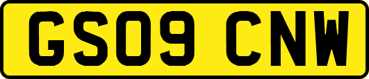 GS09CNW