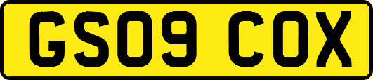 GS09COX