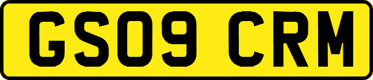 GS09CRM