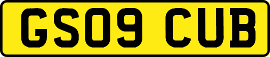 GS09CUB