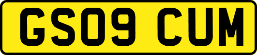 GS09CUM