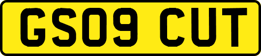 GS09CUT
