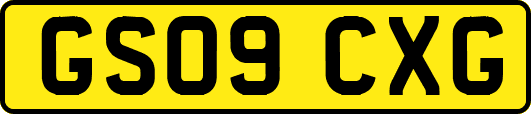 GS09CXG