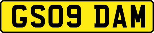 GS09DAM
