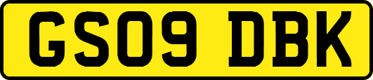 GS09DBK