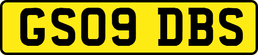 GS09DBS