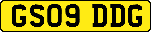 GS09DDG