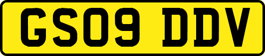 GS09DDV