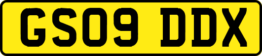 GS09DDX