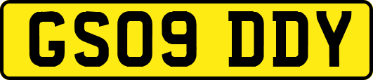GS09DDY