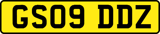 GS09DDZ