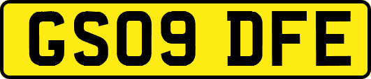 GS09DFE