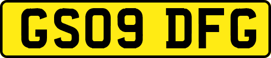 GS09DFG
