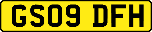 GS09DFH