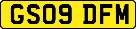 GS09DFM