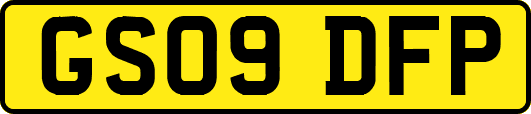 GS09DFP