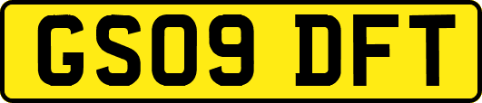 GS09DFT