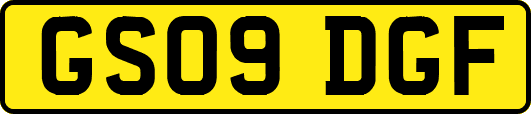GS09DGF