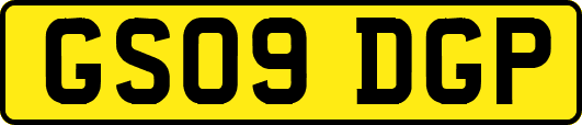 GS09DGP