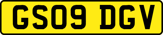 GS09DGV