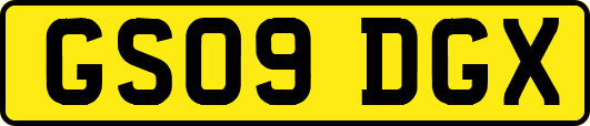 GS09DGX