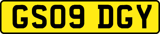 GS09DGY