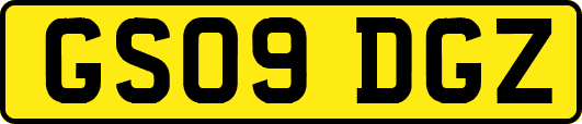 GS09DGZ