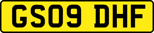GS09DHF