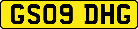 GS09DHG