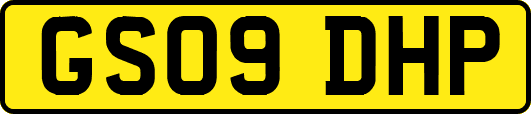 GS09DHP