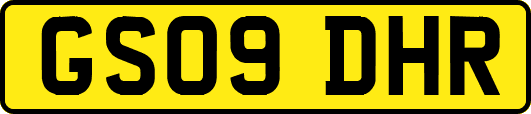 GS09DHR
