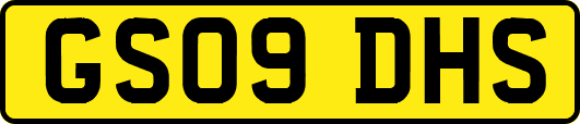 GS09DHS