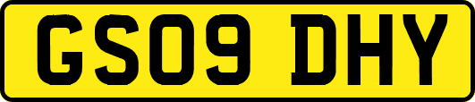 GS09DHY