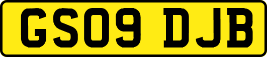 GS09DJB