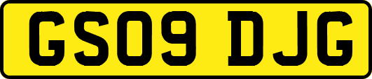 GS09DJG